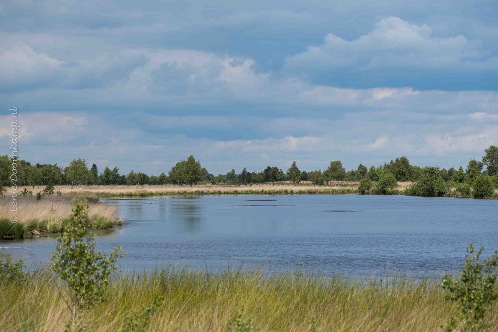 Bargerveen, Drenthe Bargerveen