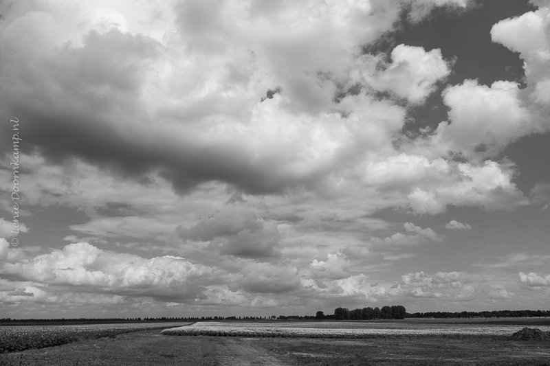 Exloo, Drenthe Wolkenpartij boven aardappelvelden