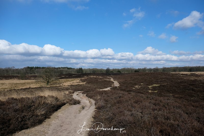 Gasterse Duinen Gasterse Duinen, Drenthe