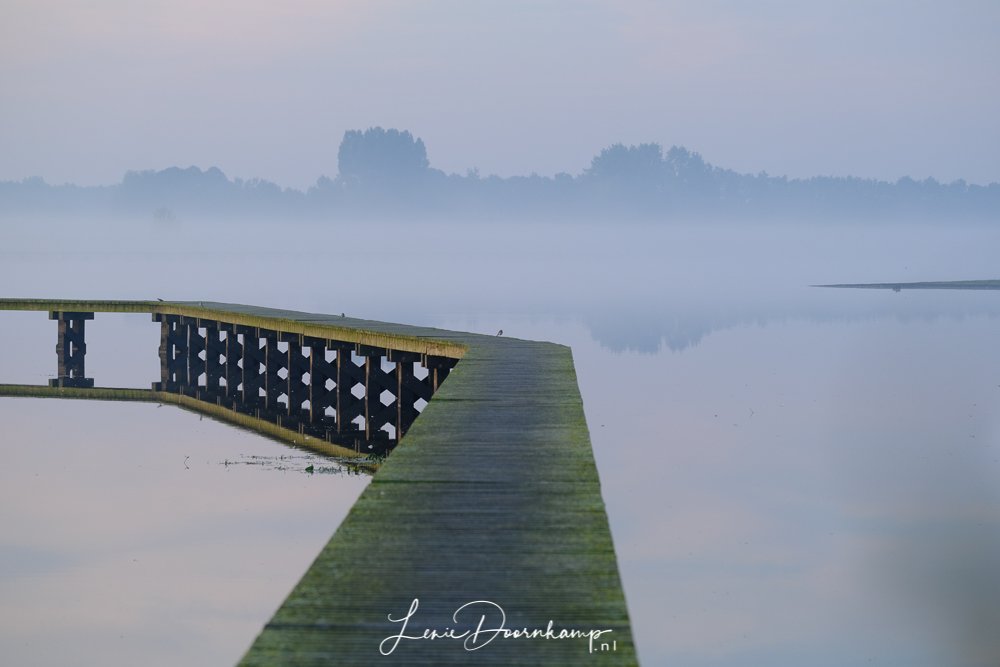 Het knuppelpad in het Roegwold Het knuppelpad