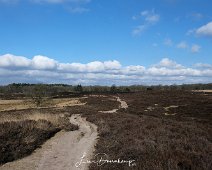 Gasterse Duinen Gasterse Duinen, Drenthe